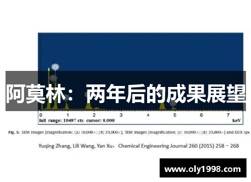 阿莫林:两年后的成果展望 阿莫林:两年后的成果展望